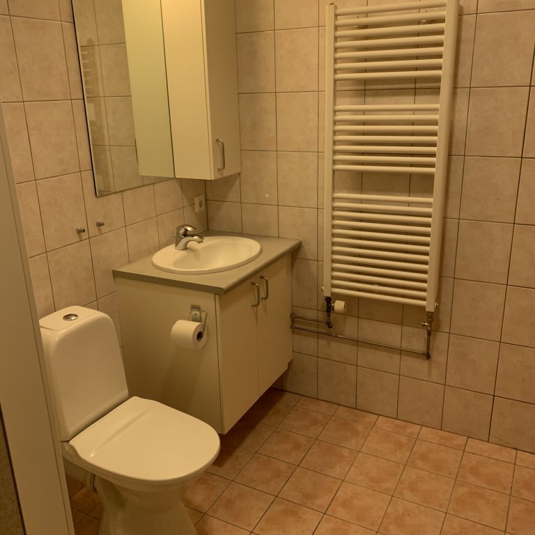 baðherbergi drekagil