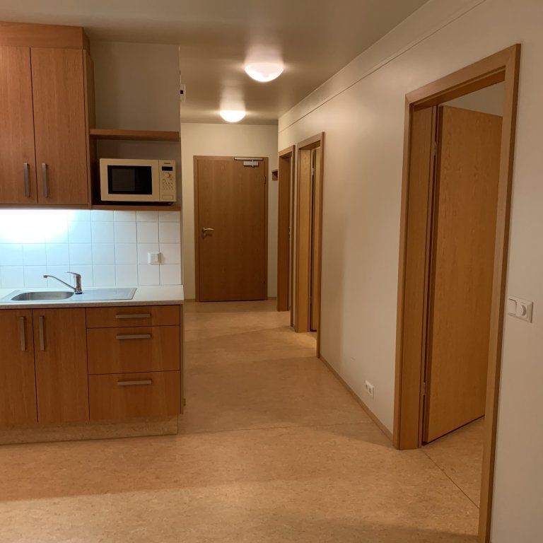 Eldhús og gangur í þriggja herbergja íbúð